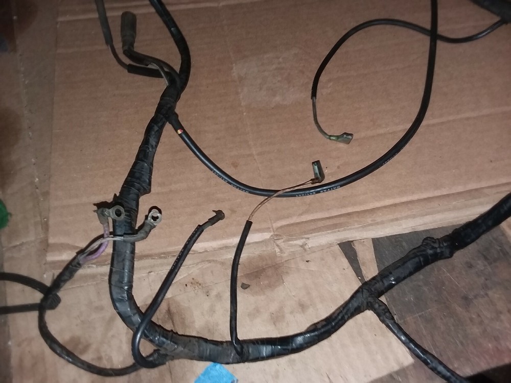 OMC 4.3 WIRING HARNESS
