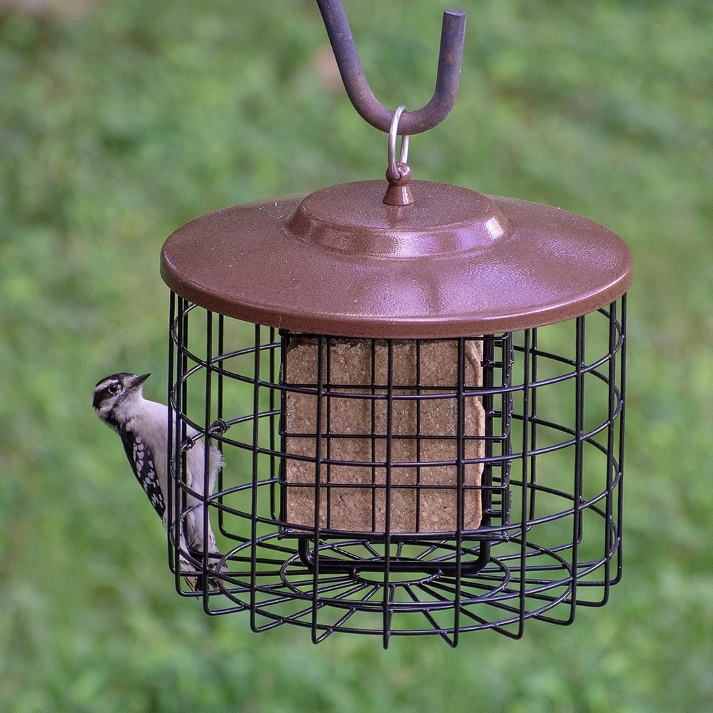 Squirrel-X Double Suet Feeder - Squirrel Proof, 2 Suet Capacity, Outdoor Bird...