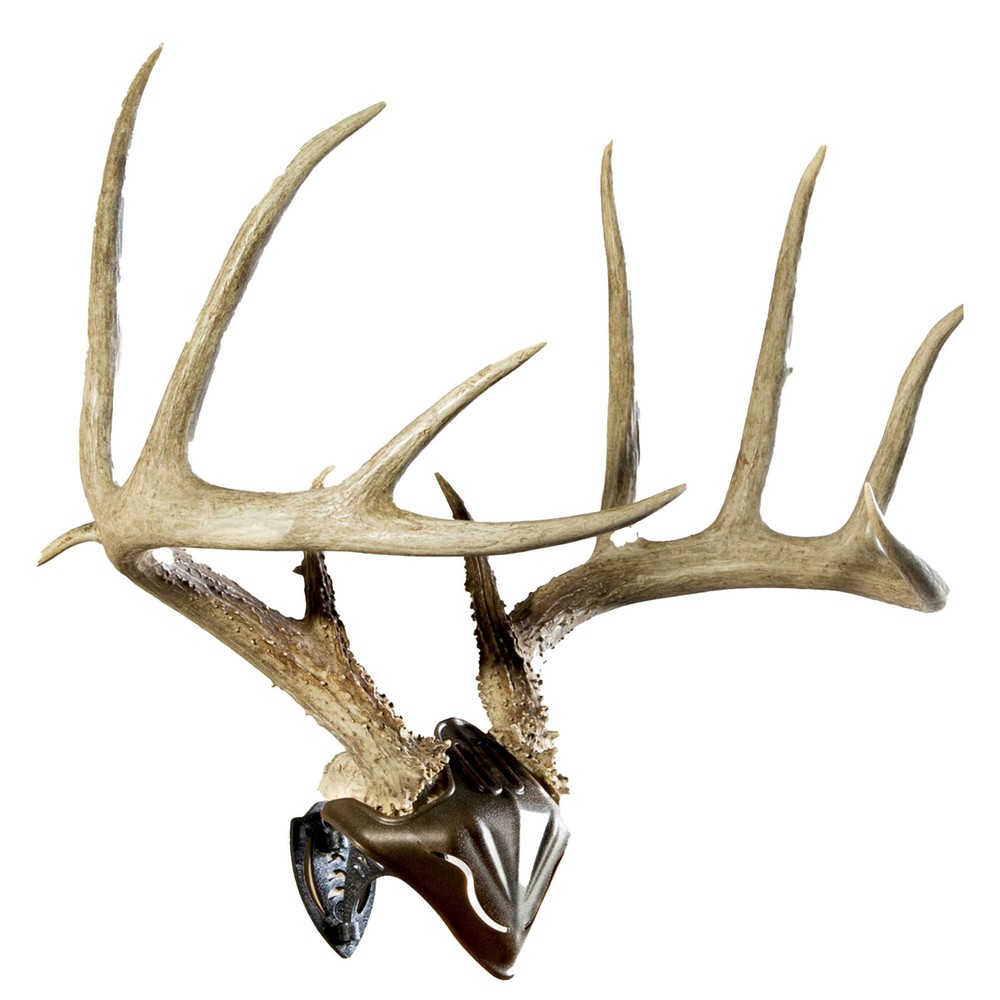 Skull Hooker - Bone Bracket Skull Cap Combo - Brown/Black