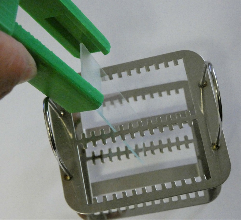 Plastic Microscope Slides Forceps Holder Rack For 3"x1" Standard Slide Staining