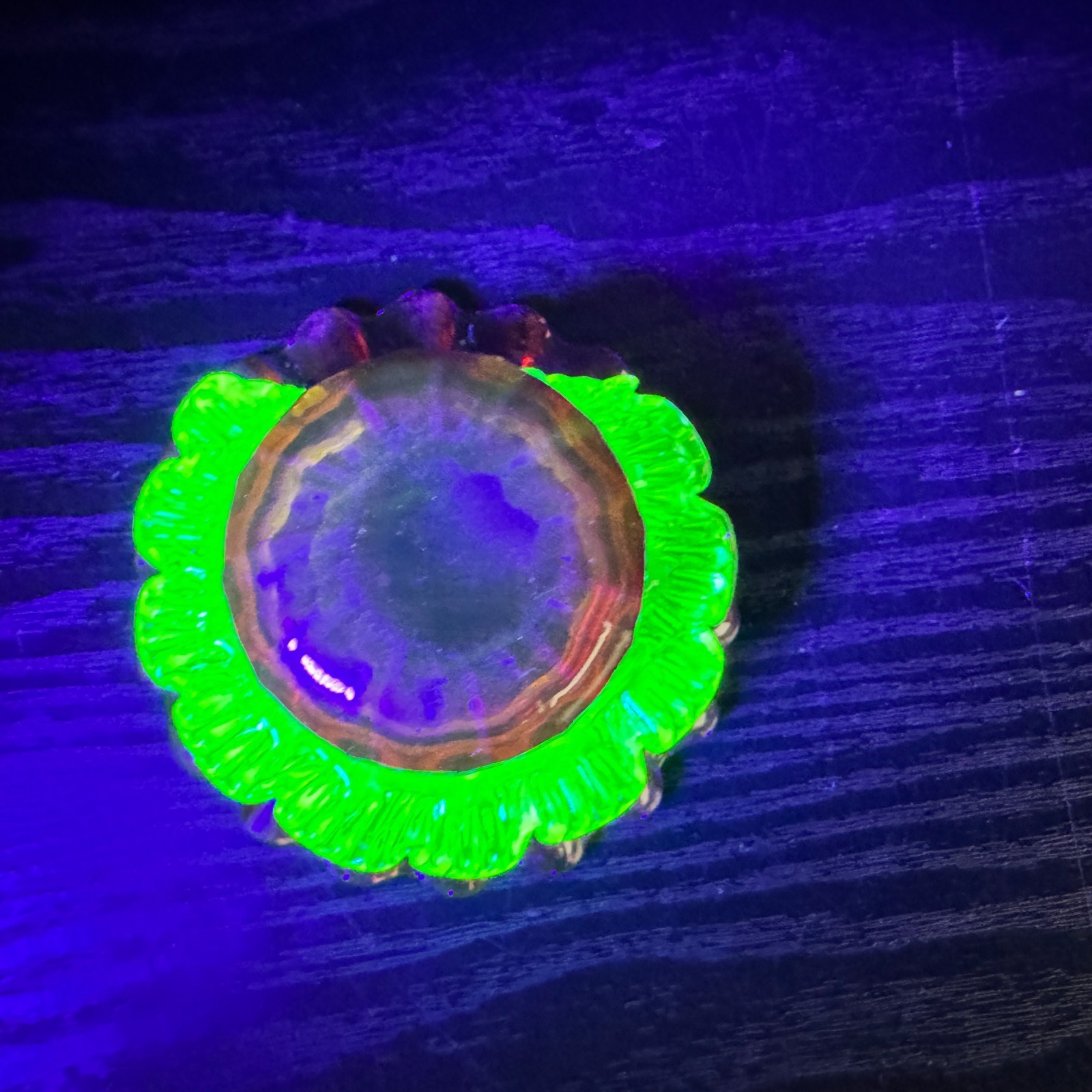 Uranium Glass Cranberry Vaseline Ruffle Open Salt Cellar Antique Victorian Era