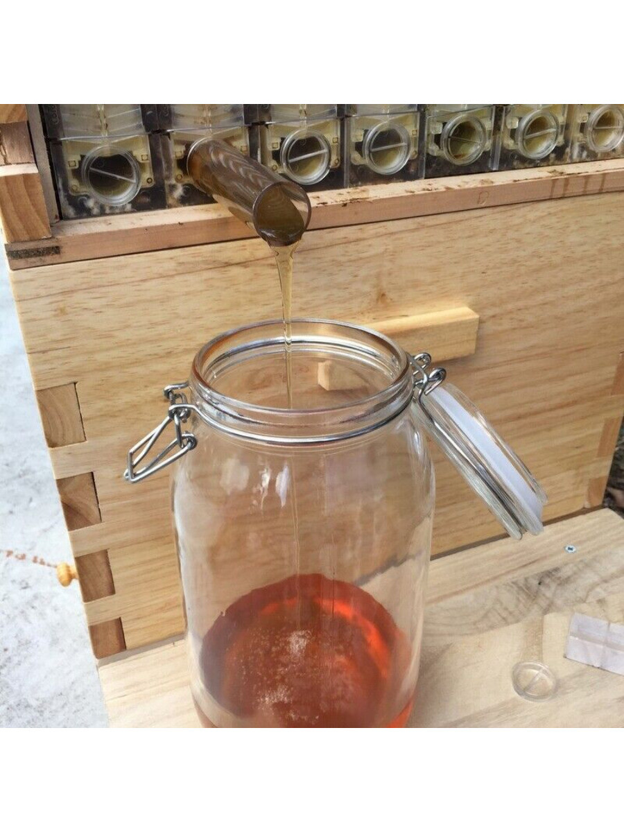 7 x Auto Beehive Frames Bee Hive + Beekeeping Hive Cedarwood Brood Box Super Box