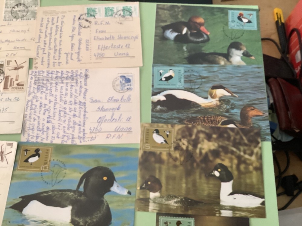 Poland postcards 16 postal items Ref A2238