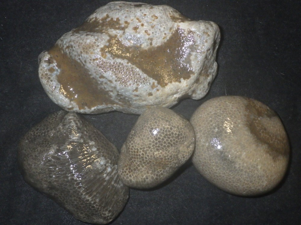 Charlevoix Stones