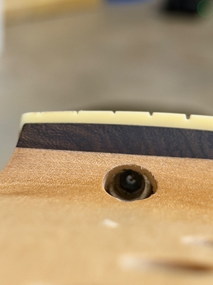 Stratocaster Type Neck- Maple/Rosewood