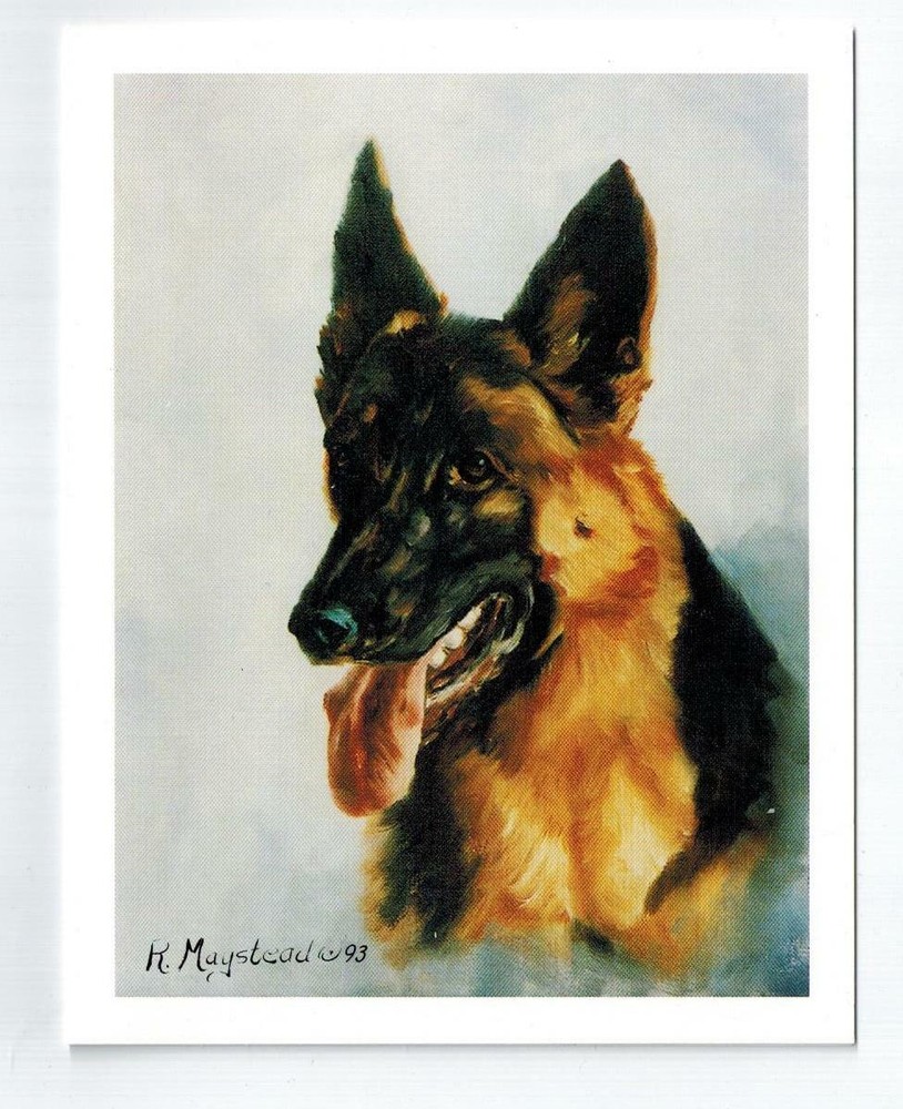 New German Shepherd Head Study Notecard Set - 12 Blank Note Cards Ruth Maystead