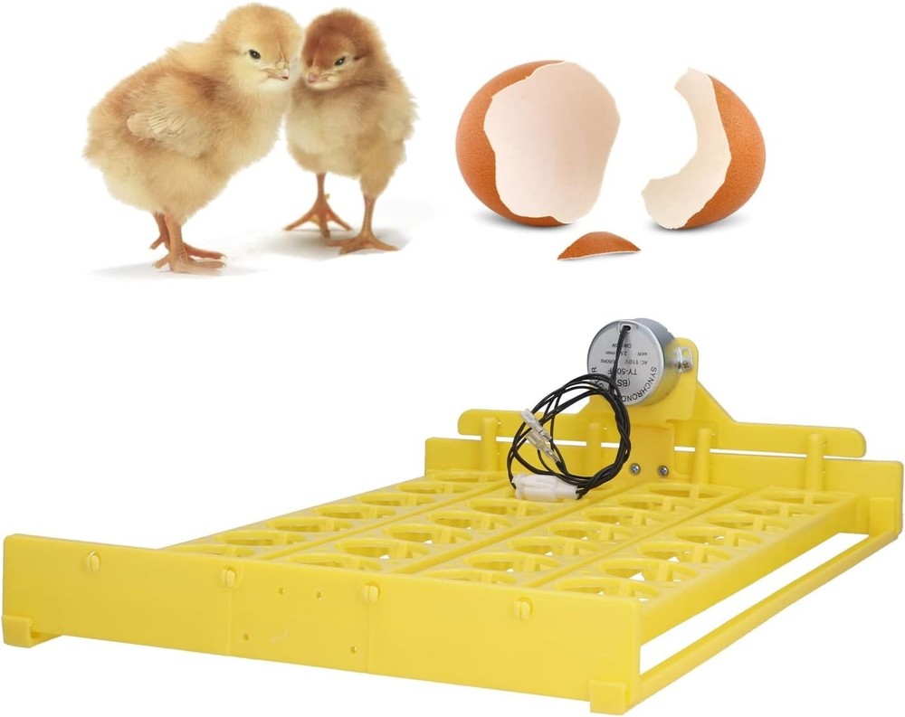 Plastic Egg Incubator Tray, Sufficient Power Safe Hatching Fully Automatic Eg...