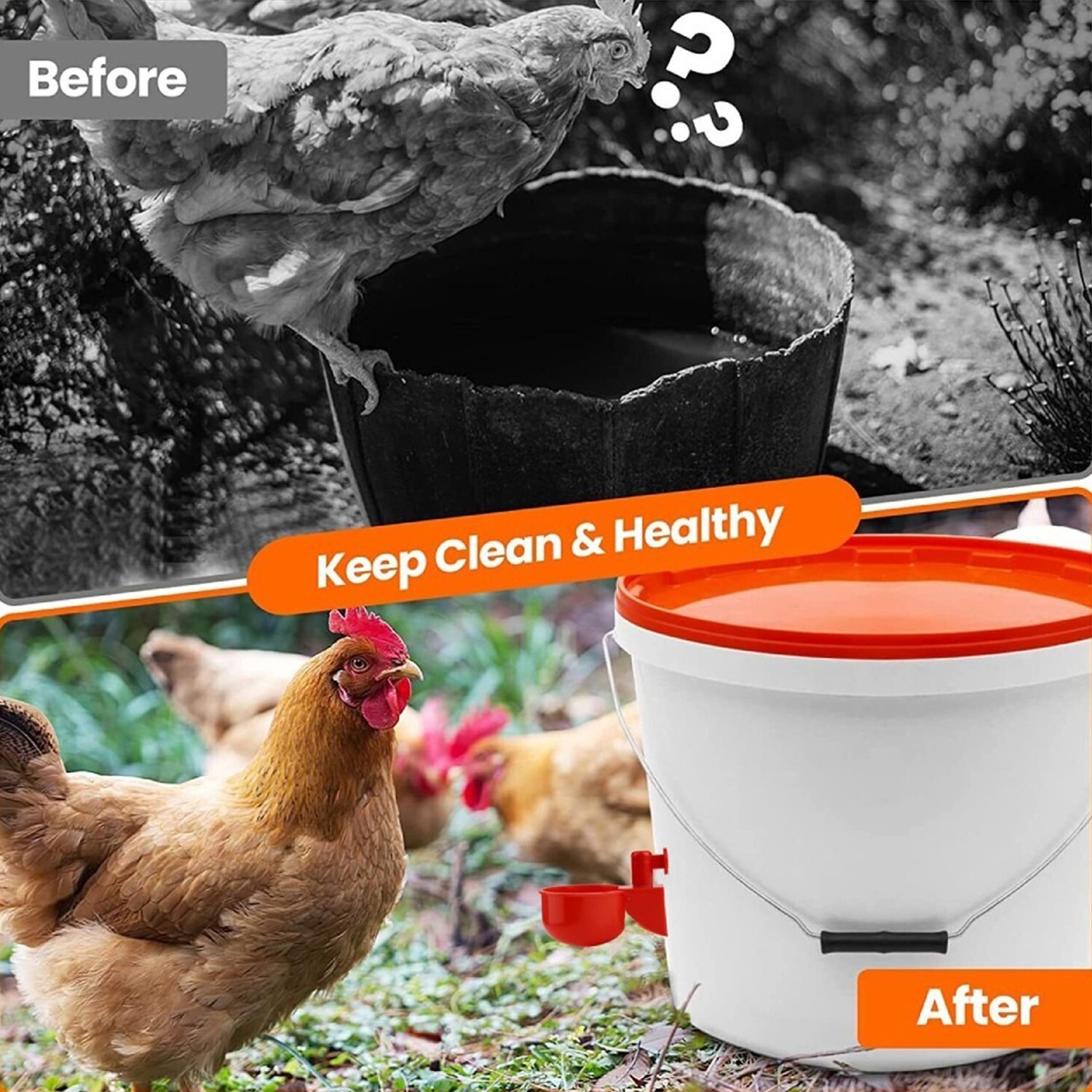 12PCS Chicken Automatic Watering Cups Drinker Waterer for Duck Quail Hen Poultry