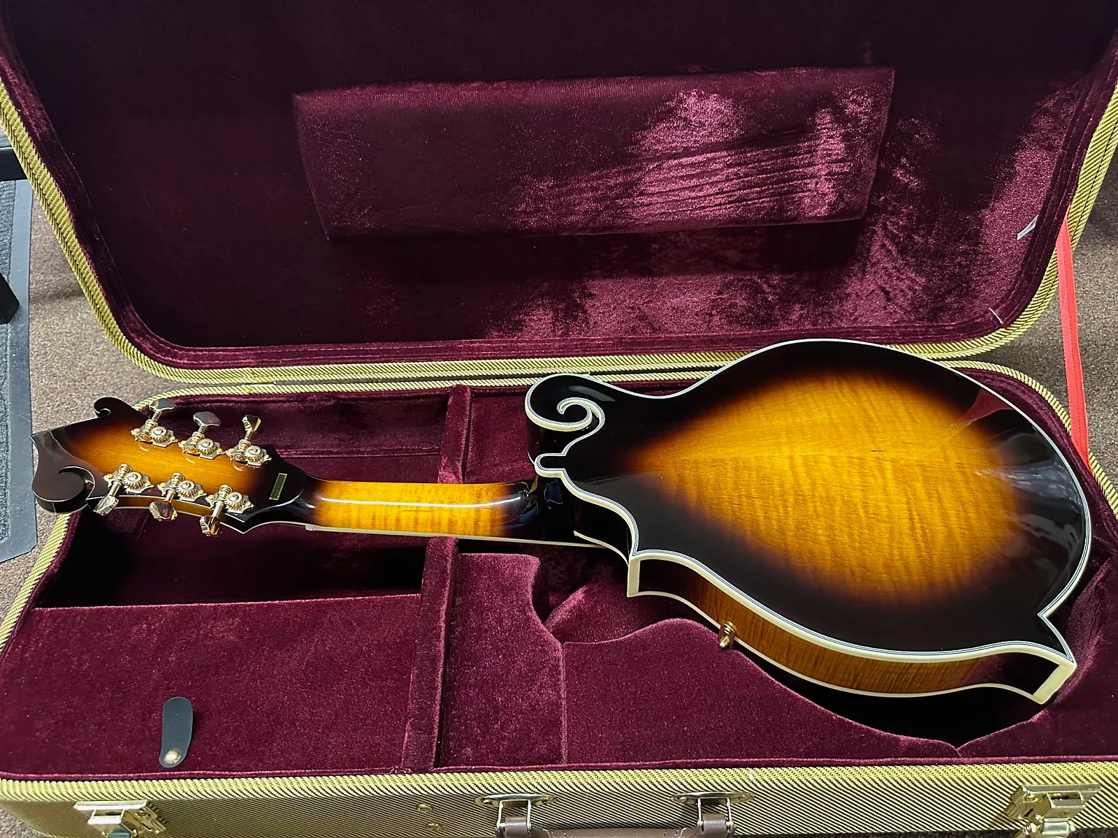 Gold Tone F-6+ F-style 6 String Electric Mandolin Guitar Mando-Guitar New W/Case