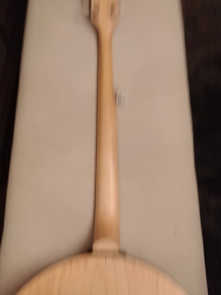 DEERING BANJO GOODTIME Maple 5 String - With Soft case