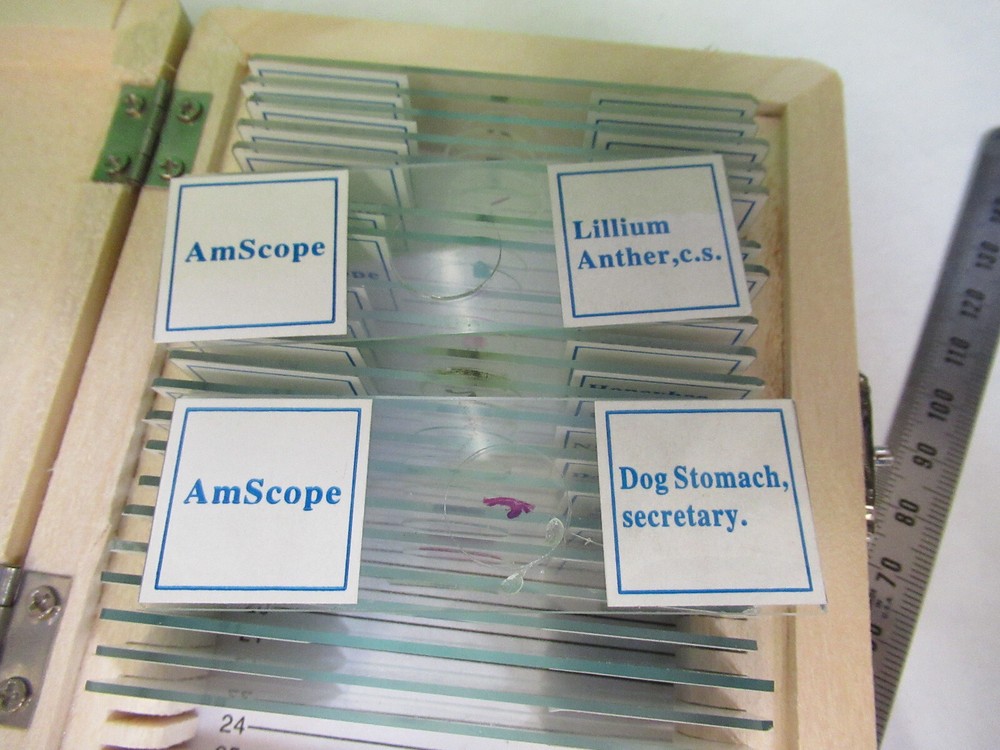 PREPARED 23 SLIDES SPECIMEN SAMPLES AMSCOPE MICROSCOPE PART AS PICTURED X7-A-95
