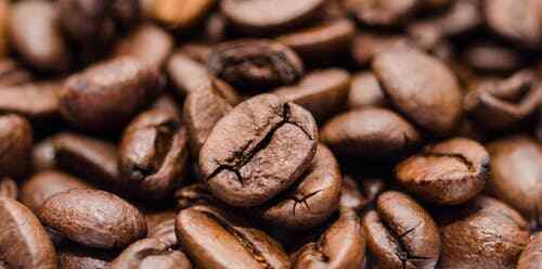 Orange Monkey Flavored Coffee - 16oz Ground NEW FLAVOR!!