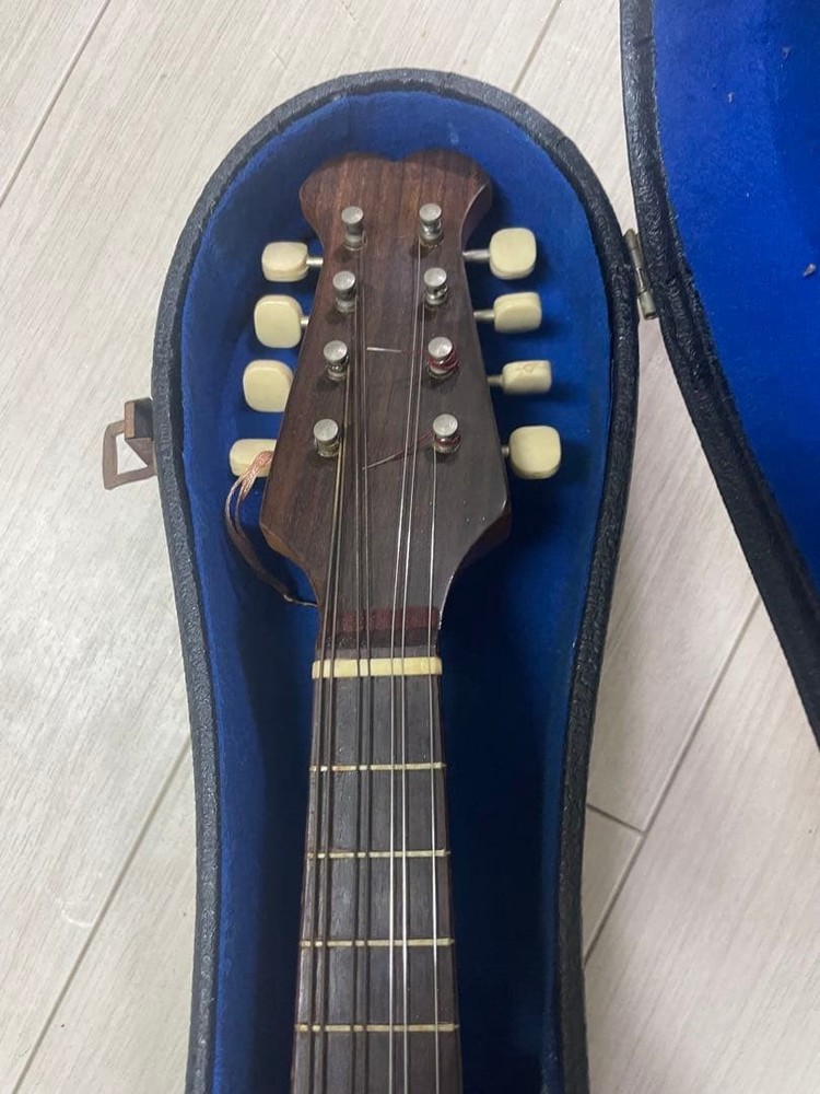 Kunishima Mandolin No.12 Kunishima