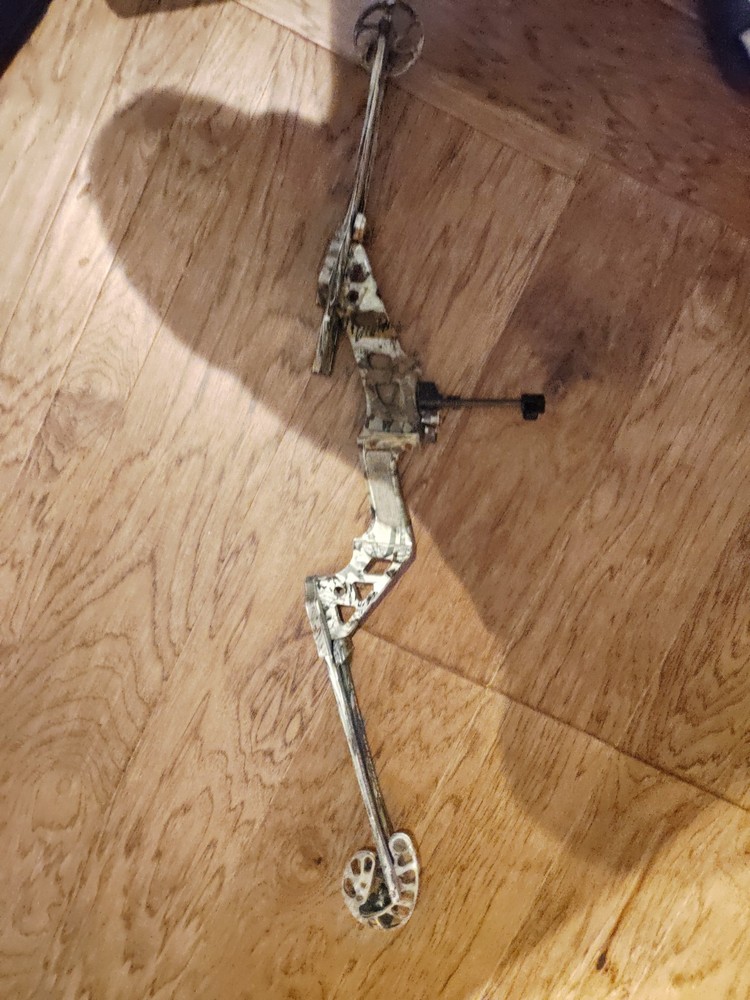 2 Compound Bows both Needs New String $100