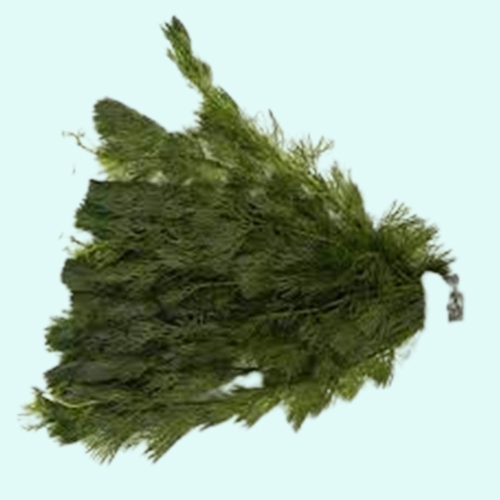 Green Cabomba