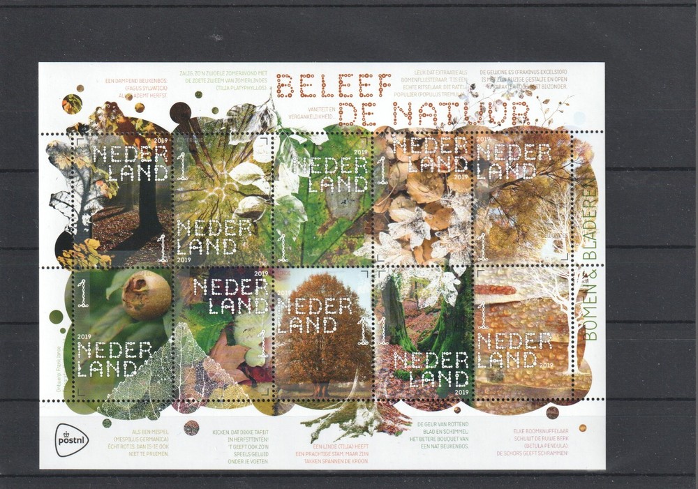 NETHERLANDS 2019 MNH FLORA - 10440