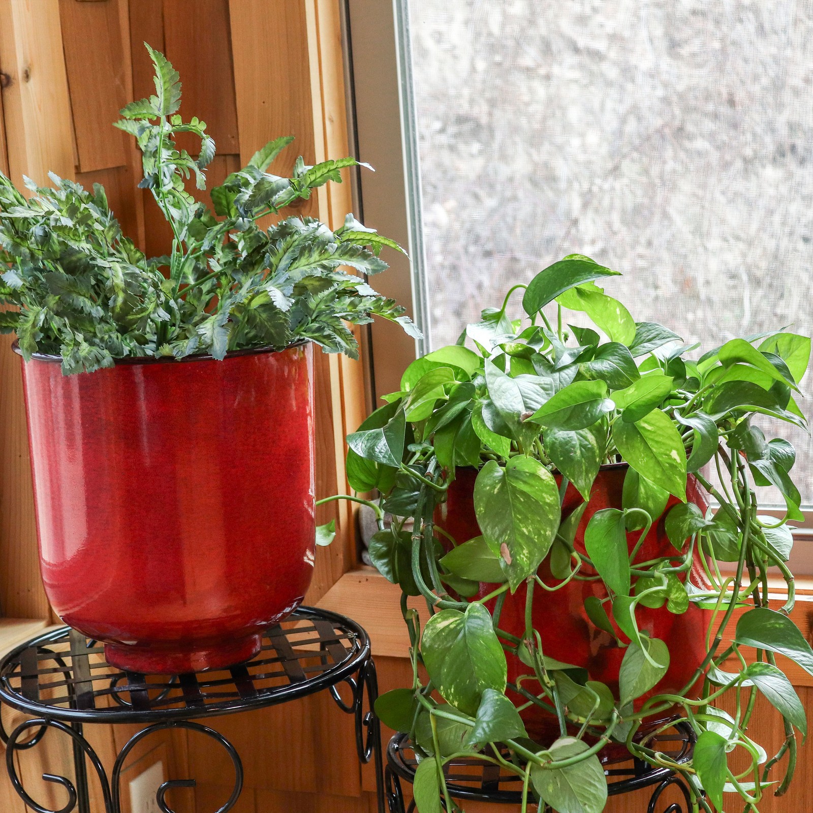 Vivian Metal Planter - 11 in - Ruby Glaze - Set of 2 by Sunnydaze