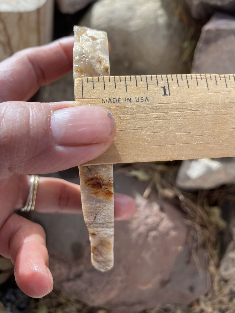 Petrified Wood Slab