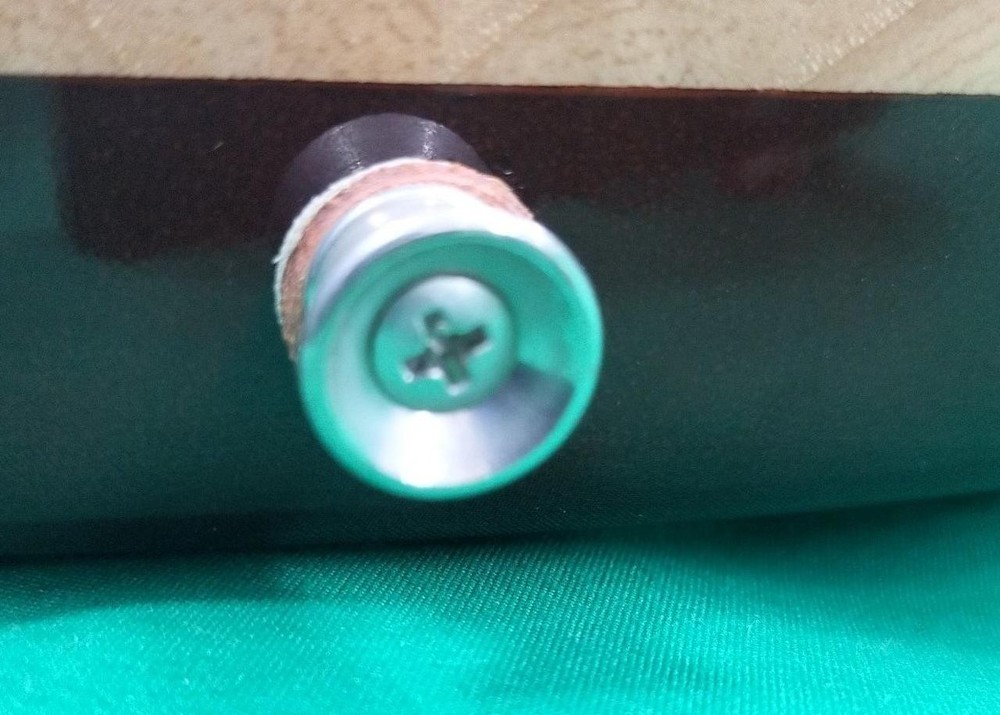 RYOGA CICADA-G2E Electric Guitar