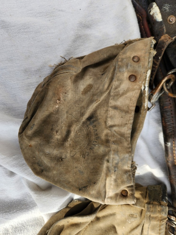 Buckingham & Bashlin Well Used Tree Pole Lineman Climbing Gear