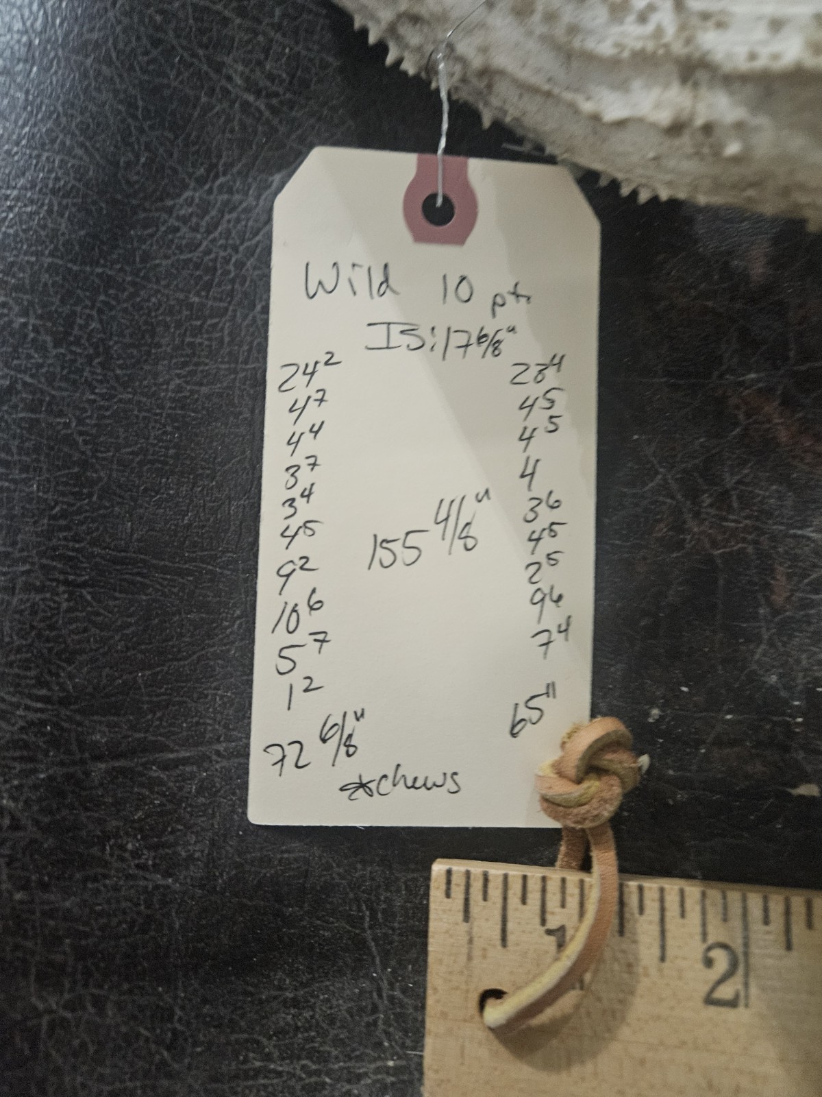 Wild 10 Point Whitetail Deer Antler Rack Horn European Skull Mount Man Cave 155"