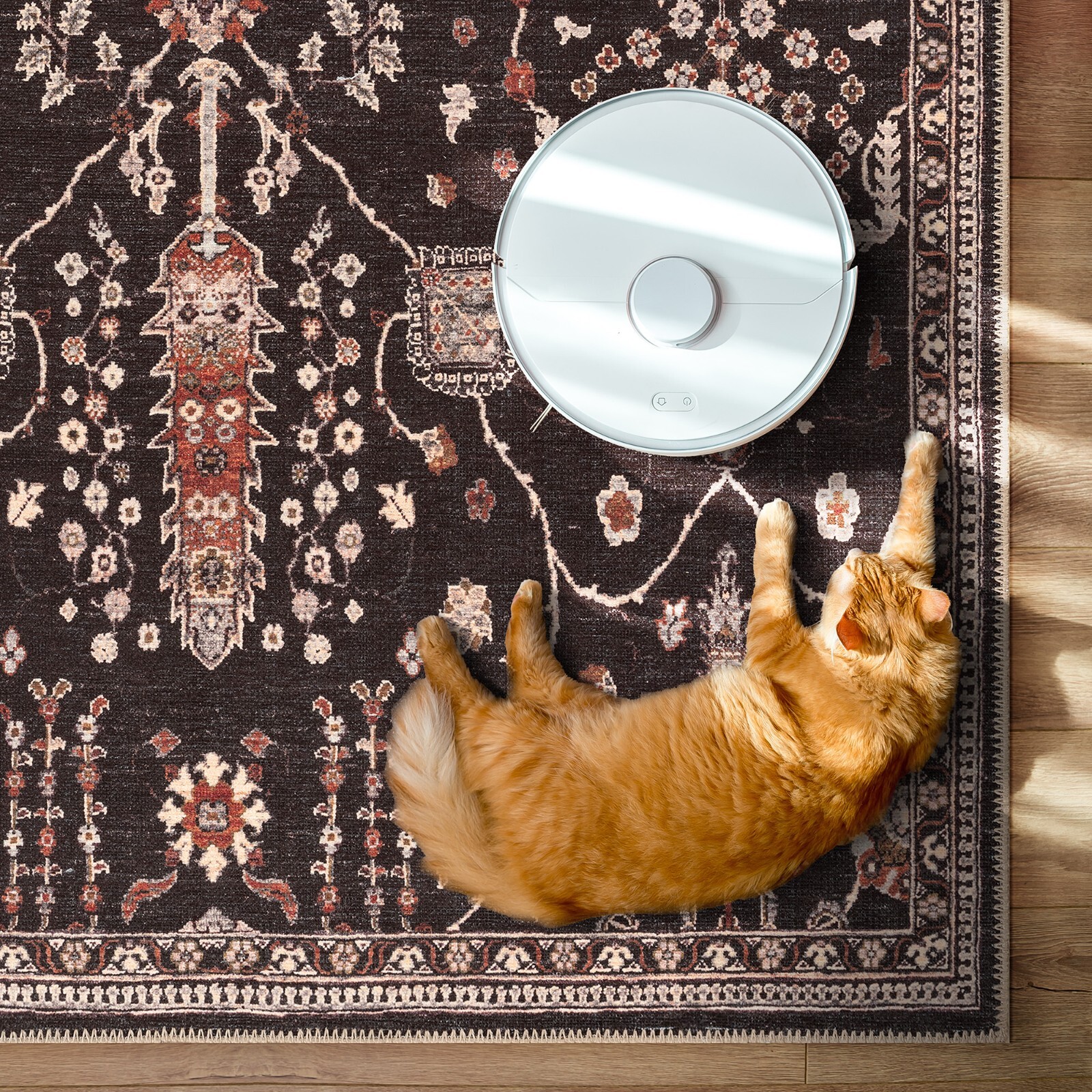 GLN Rugs Sumer - Machine Washable Area Rug - Turkish Black Home Rugs