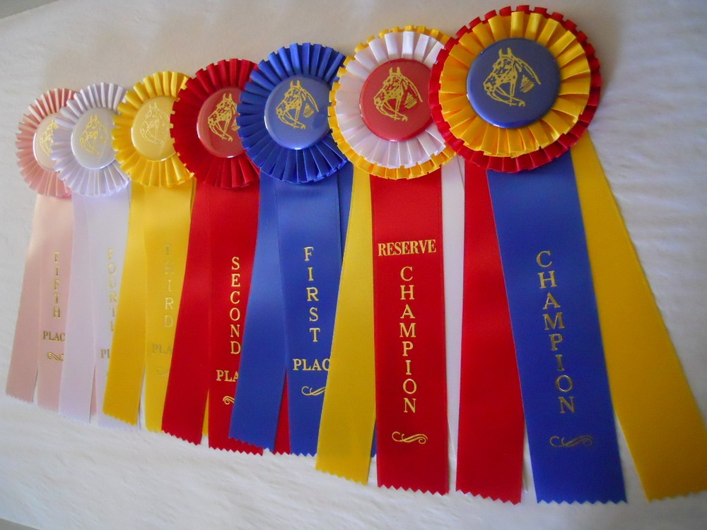 Horse Show Ribbons
