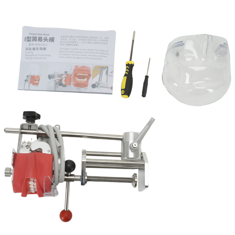 Dental Simulator Manikin Phantom Head Teeth Model Bench Mount Teaching Model