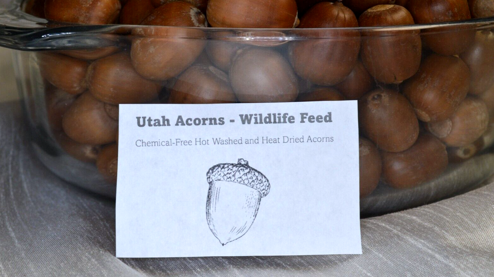 Acorns Wildlife Feed 1 LBS Chemical-Free Heat Dried For Birds, Squirrels, Deer+