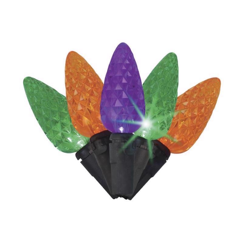 Celebrations 100 C6 Multicolor LED Plug-In String Lights