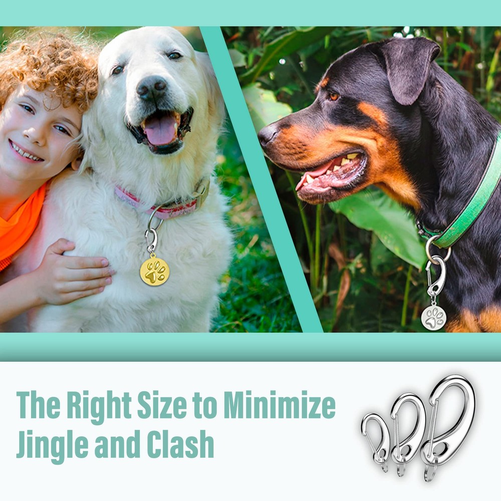 Leash King Pet ID Tag Quick Clip 2 Medium Spring-Load Hooks Split Rings