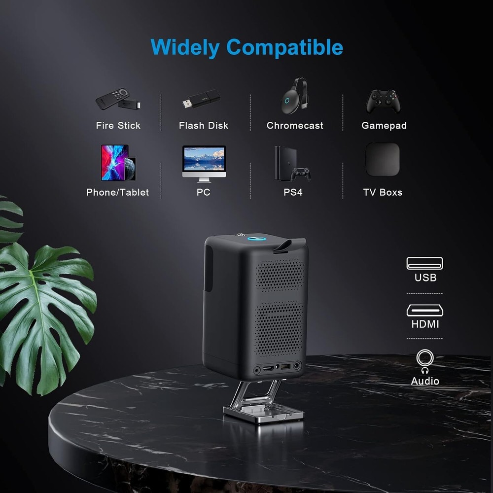 Leapwell Outdoor Wifi Projector Black