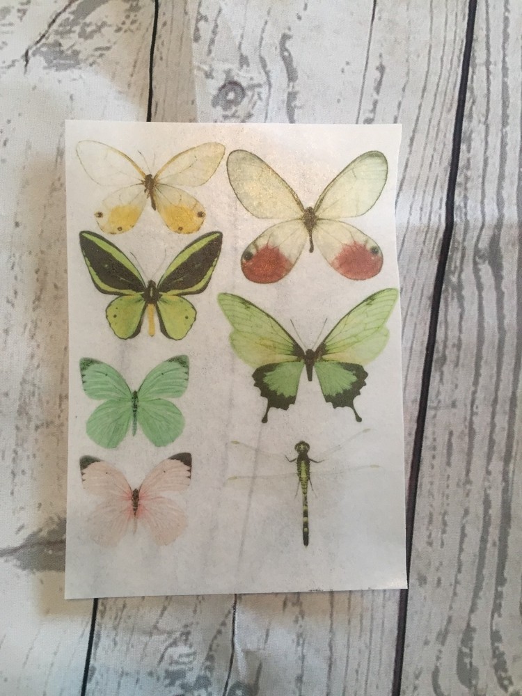 Spring Forest Mix Edible Butterflies