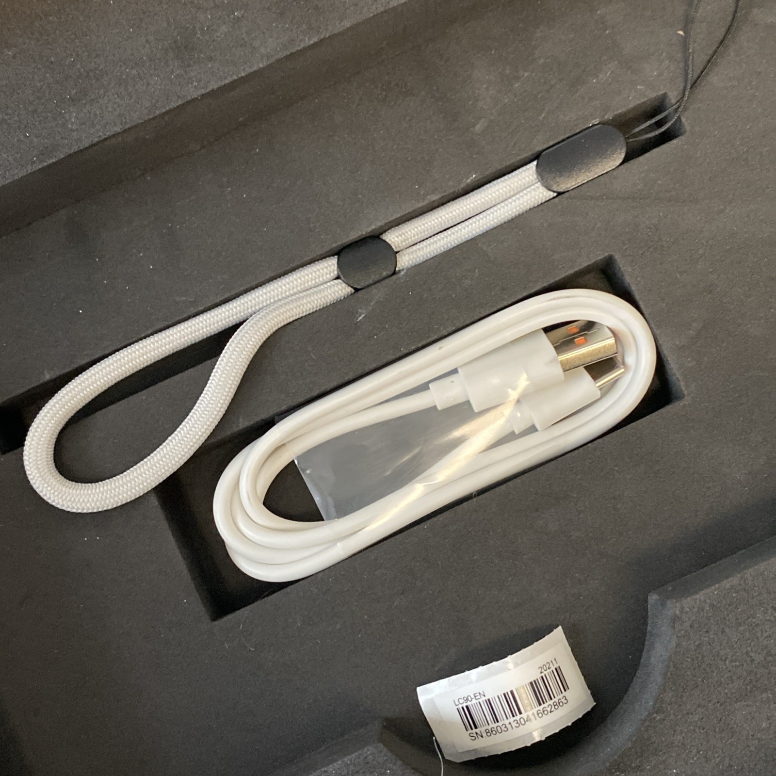 Choyong LC90 Shortwave And Internet Radio (Used Excellent) USA REAL PICTURES!!