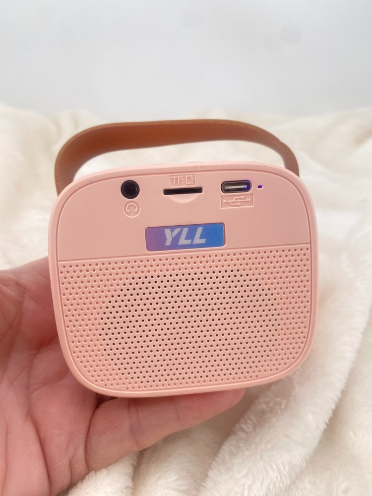 YLL Mini Karaoke Machine Portable Bluetooth Karaoke Speaker Pink