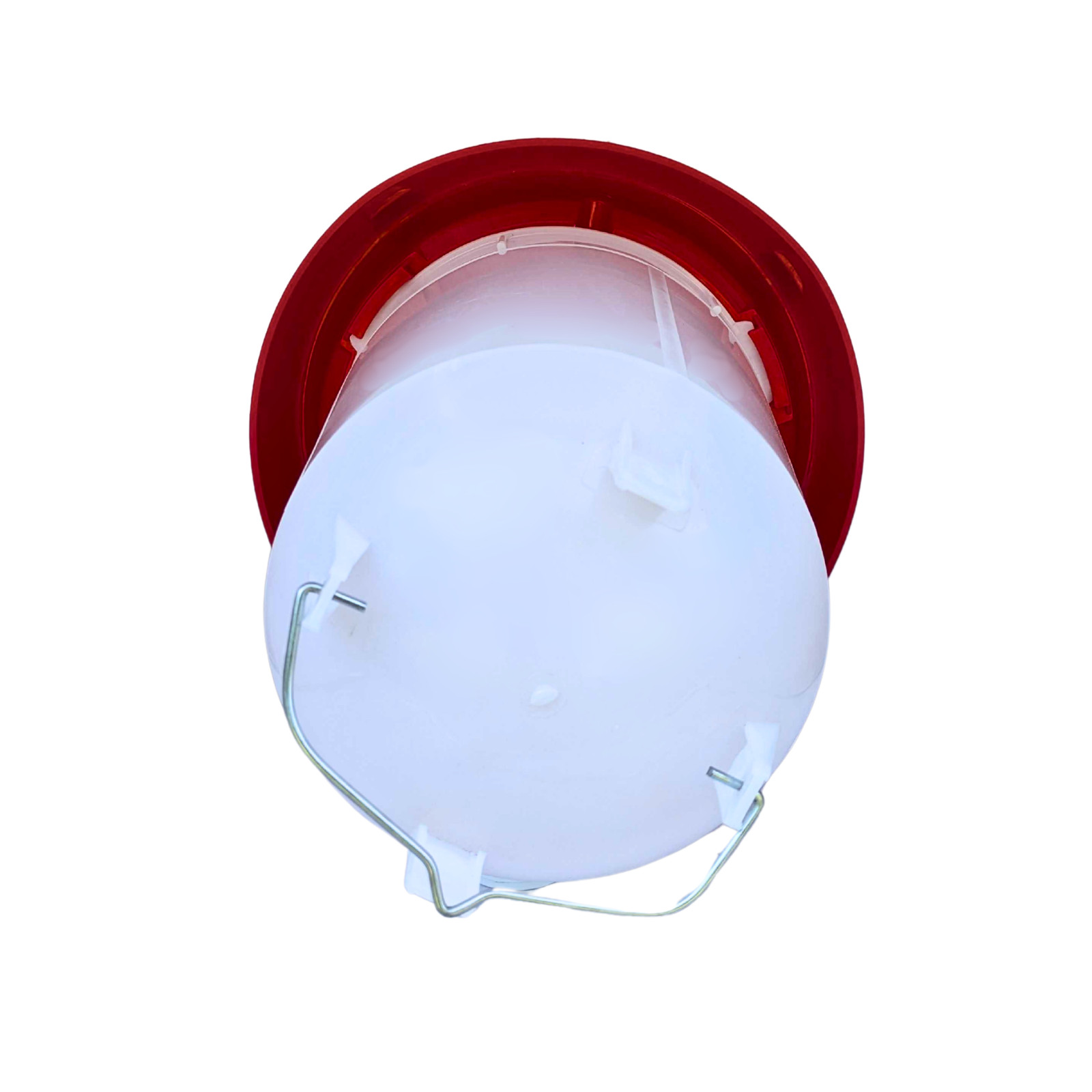 Little Family Members Chicken Waterer 4-Gallon Metal Handle Poultry Drinker