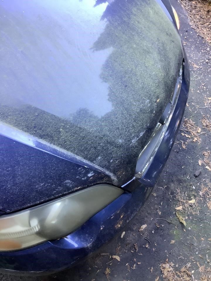 Ignition Switch Excluding Outback Base Fits 2005 LEGACY Tested OEM