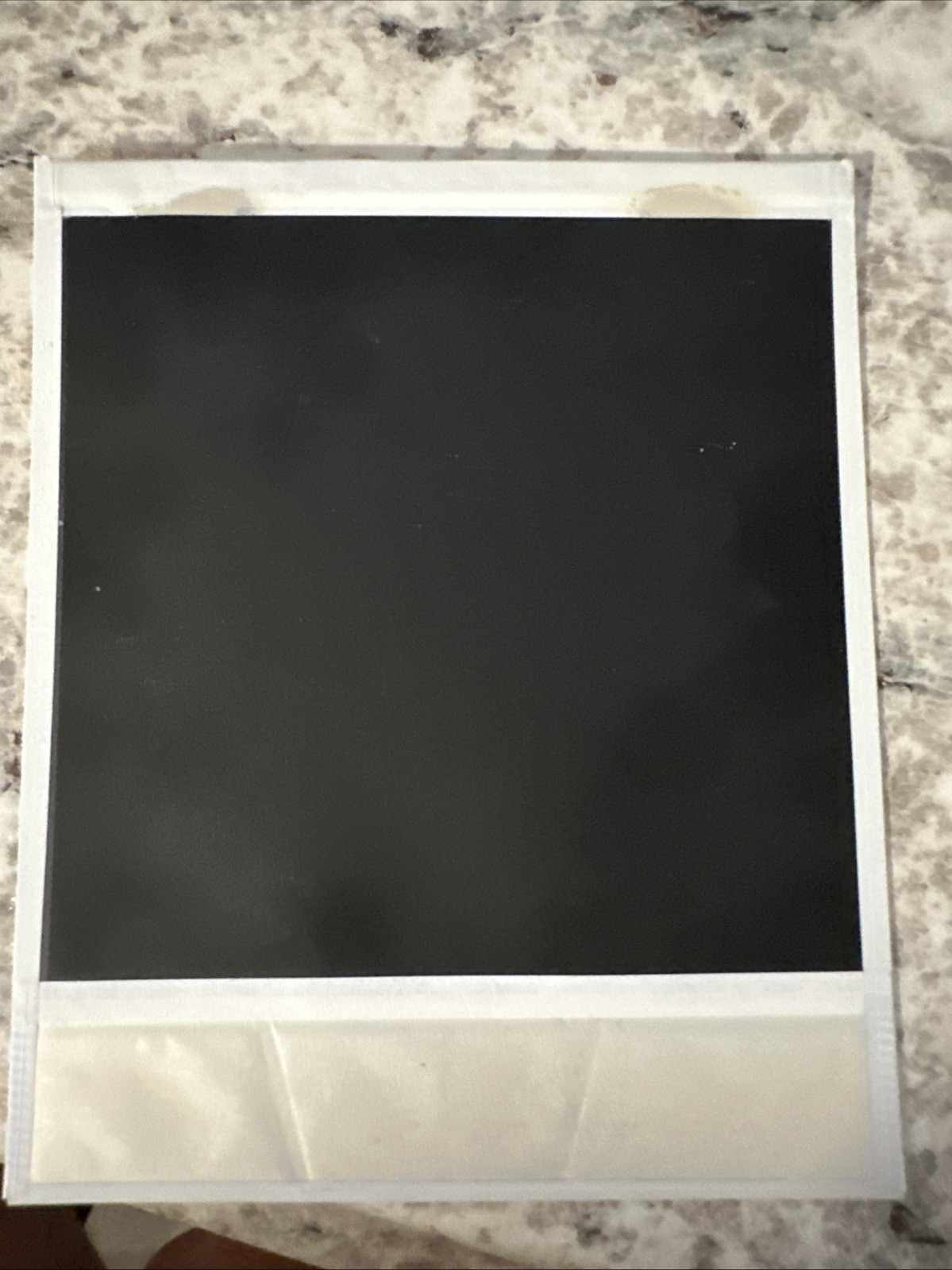 2025 Leaf Photographic - Ana Castillo Signed Polaroid! So Far From God Author