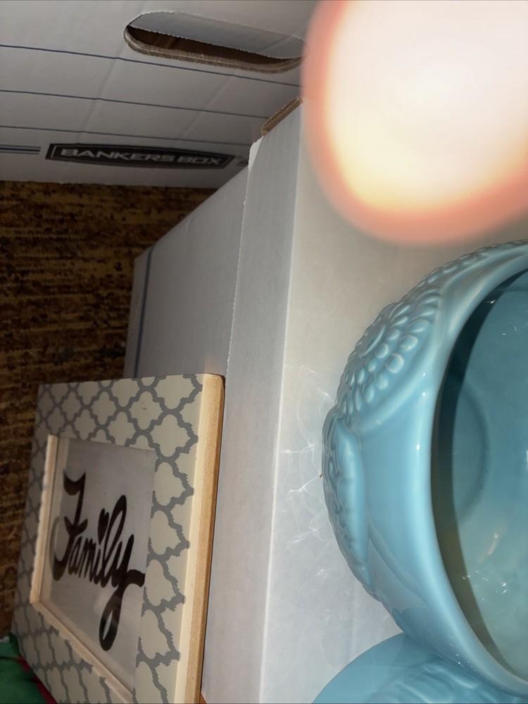 Two Blue Ceramic Owl Bowls From World Market Raised Pattern