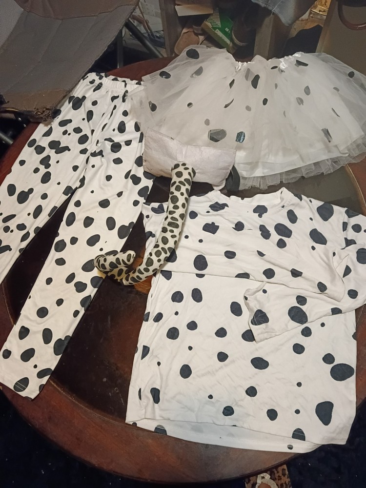 Dalmatic Costume