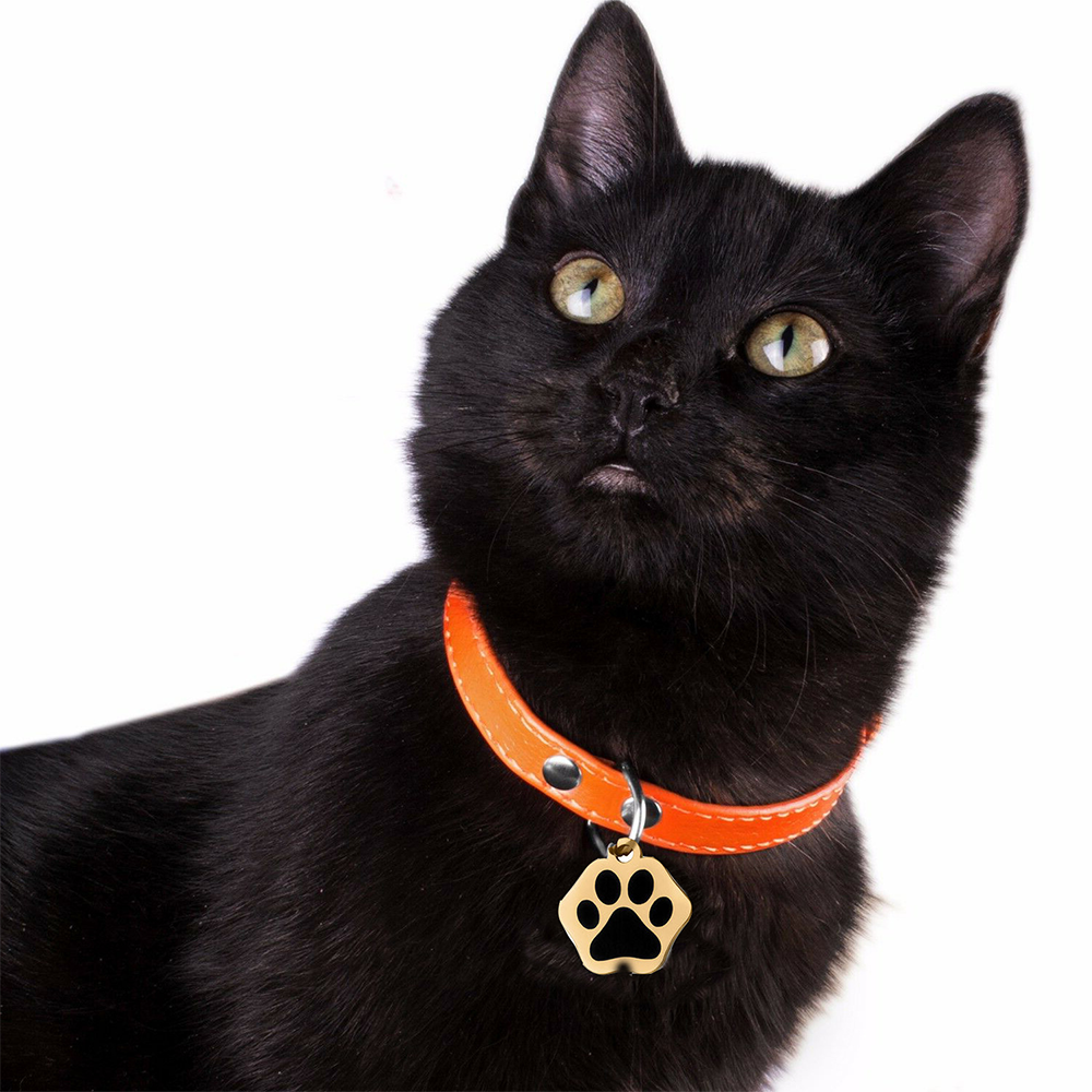 Personalized Paw Glitter Dog Tags Engraved Cat Puppy Pet ID Name Collar Tag New