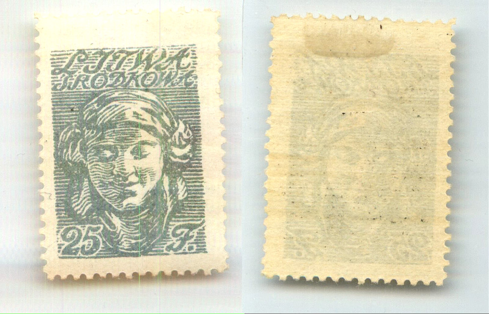 Central Lithuania 🇱🇹 1920 SC 23 mint. rtc4429
