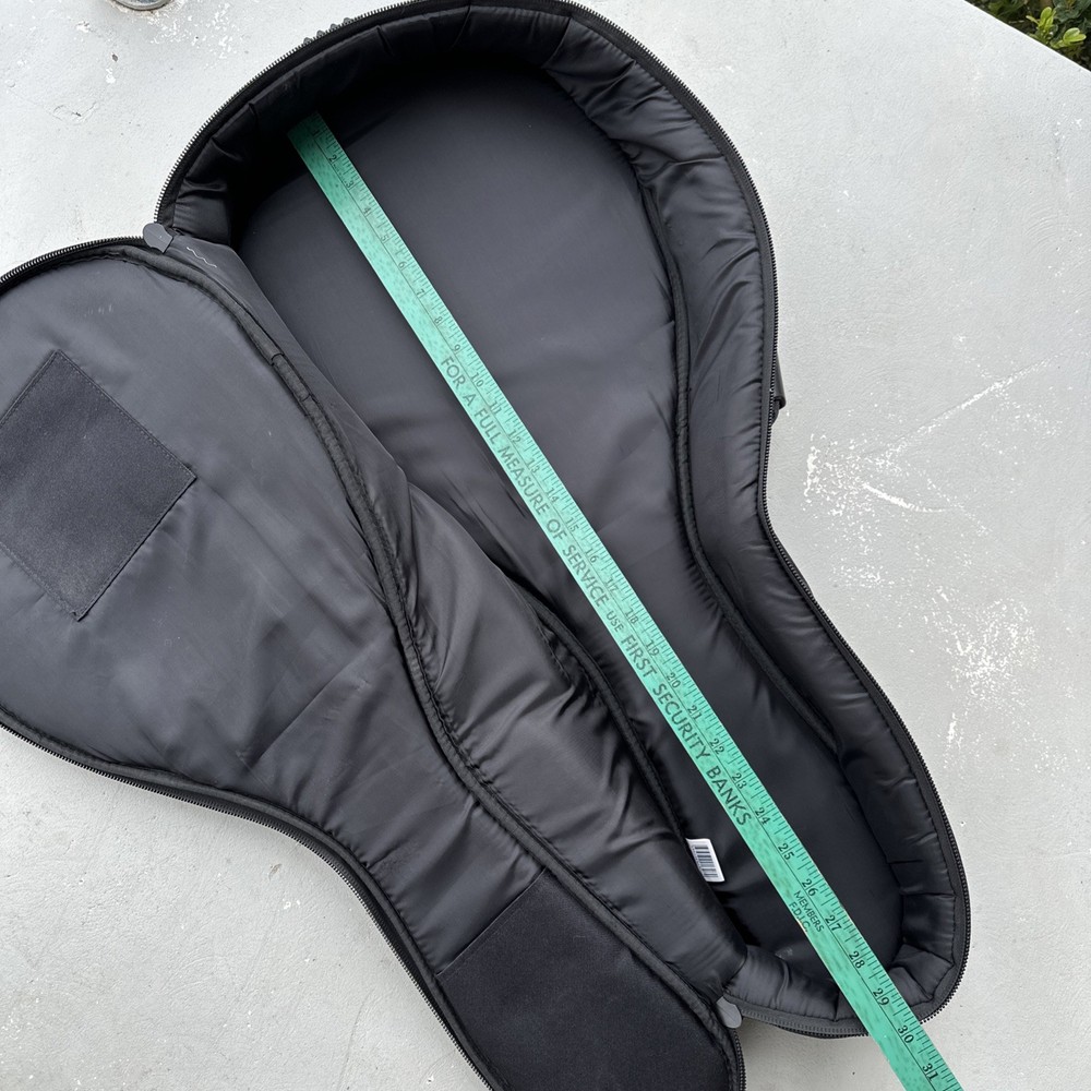 Roadrunner Mandolin Gig Bag