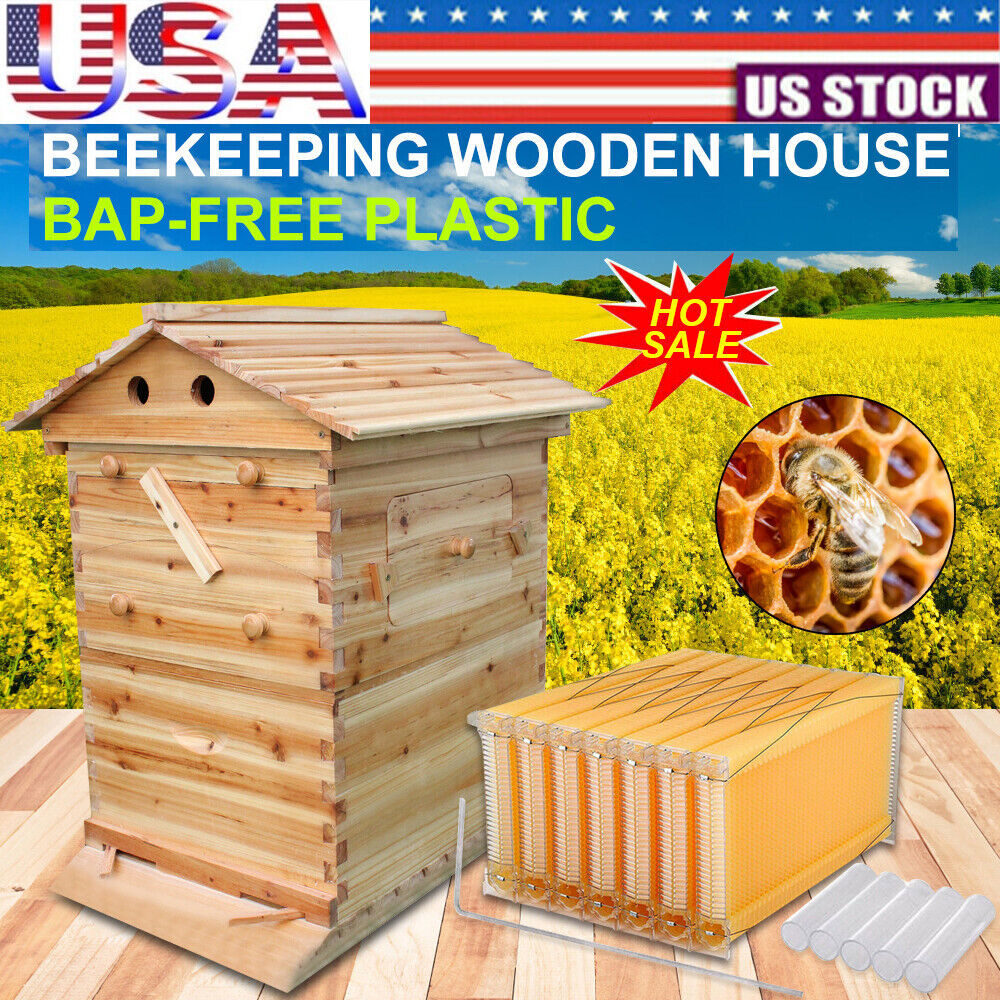 Auto Shed Bee Hive Boxes + 7x Bee Frames Honey Bee Hive House Beekeeping Frames