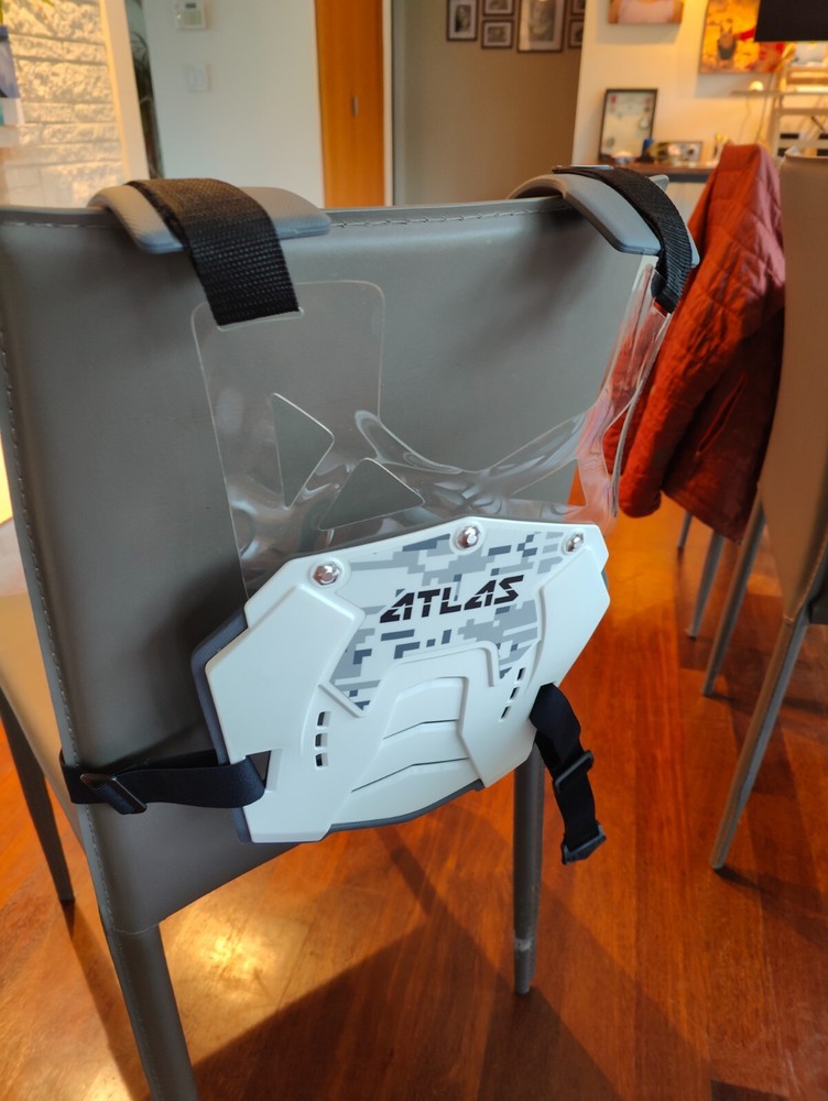 Atlas Defender Roost Guard