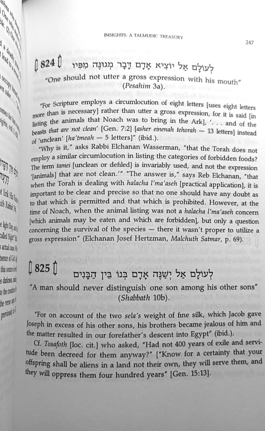 Insights : A Talmudic Treasury Vol. 2 By Rabbi Saul Weiss