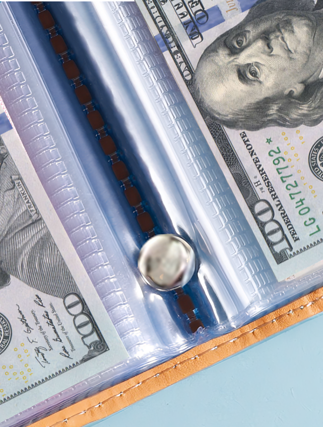 50 Pockets Dollar Bill Holders with PU Mini Binder Sleeves Protector for Notes