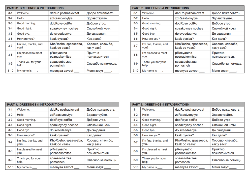 Defense Language Institute DLI BASIC RUSSIAN Text & 600+ MP3 Files Audio CD
