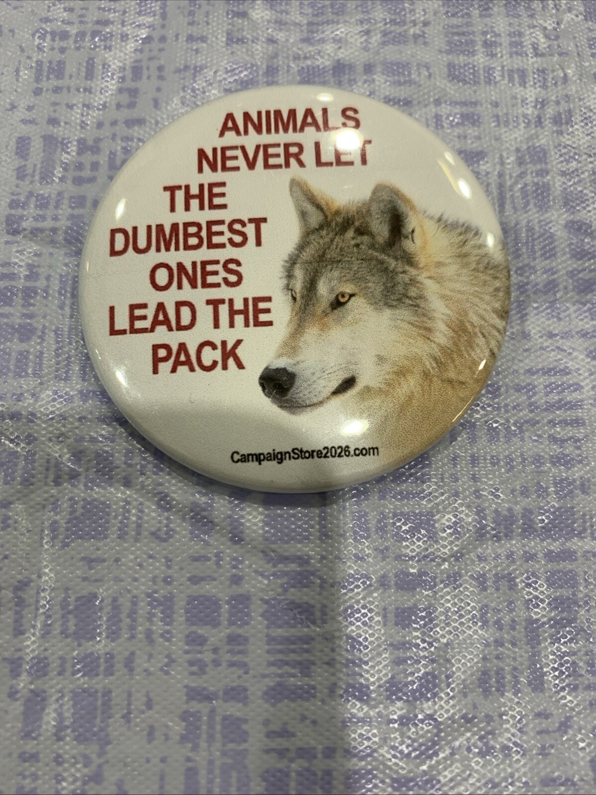 2025 Anti Donald Trump Political Pinback Button 2.25 Inch