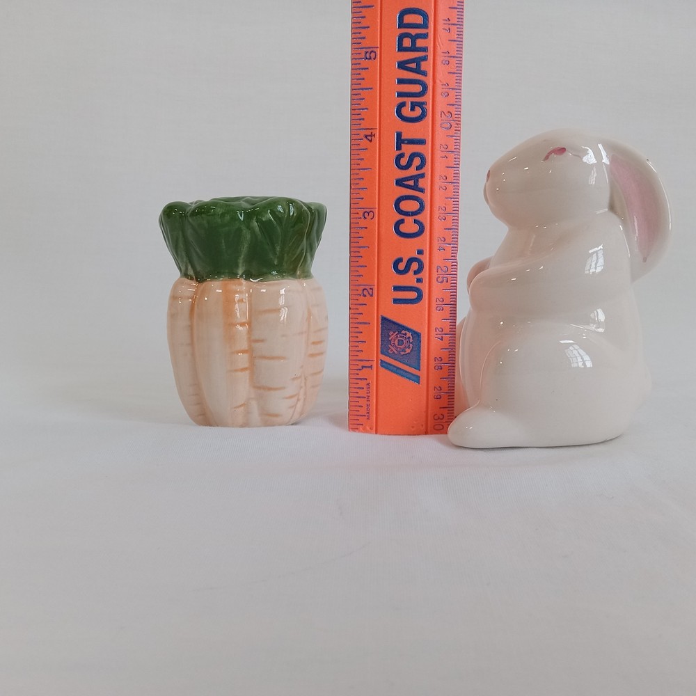 Easter Bunny & Carrot Salt and Pepper Shaker Set Ceramic Spring Decor